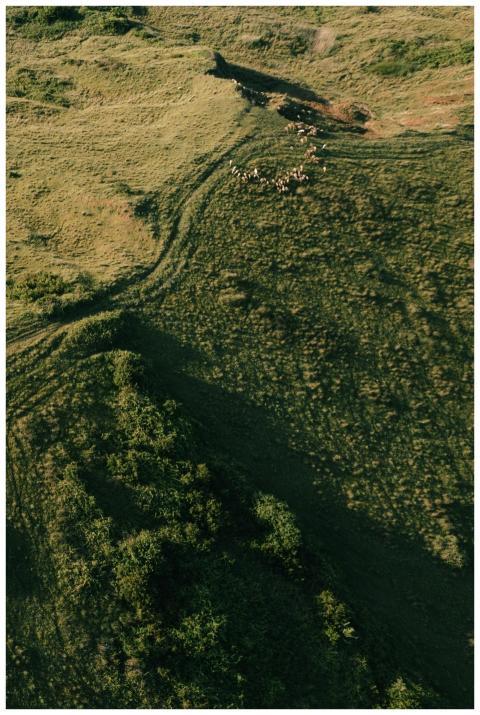 A breathtaking aerial view showcasing vast and lus