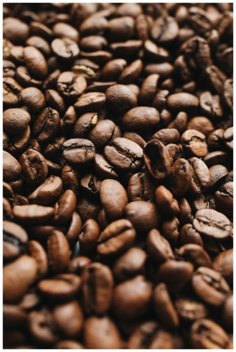 Close-up view of aromatic roasted coffee beans sho