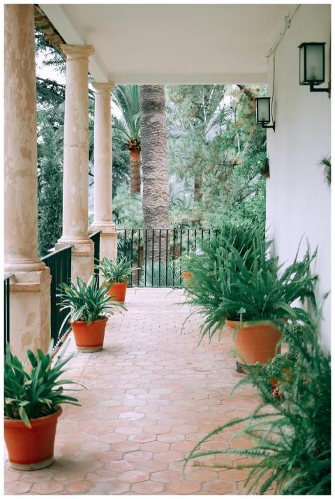 Inviting veranda with lush potted plants and class