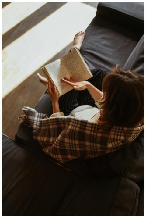 Woman relaxing with a book on a cozy sofa bathed i