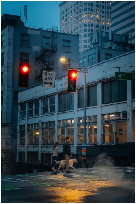 A couple walks their dog in rainy downtown Seattle