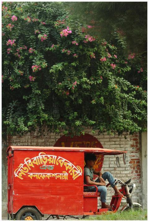 Free stock photo of bangladesh, boy, dhaka
