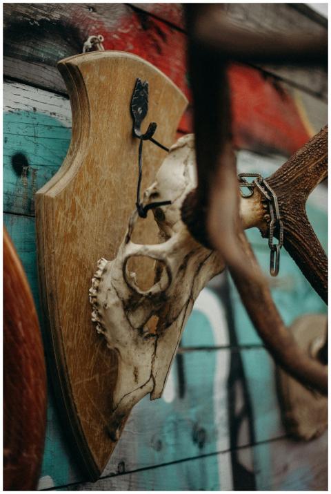 Vintage deer skull mounted on a wooden plaque with
