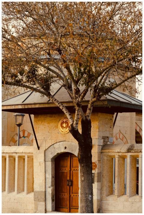 Stone building with a central tree, featuring uniq