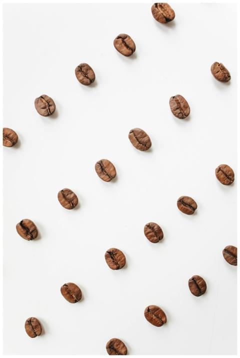 Flat lay of roasted coffee beans on a white backgr