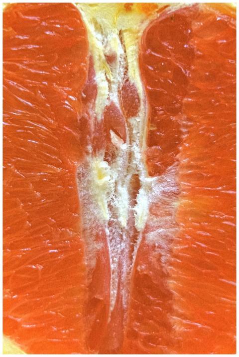 Closeup of fresh cut tropical fruit with orange pu