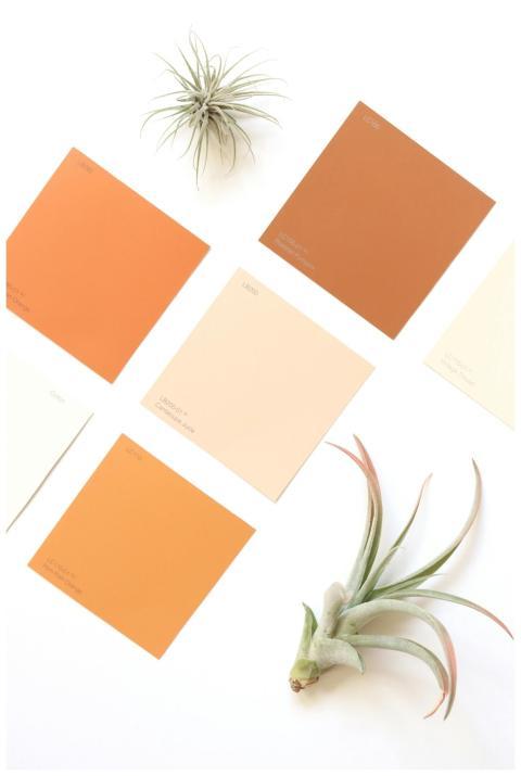 A minimalist flat lay of color swatches and air pl