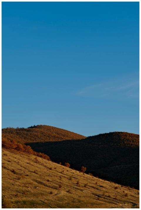 Sunlit Rolling Hills Under
