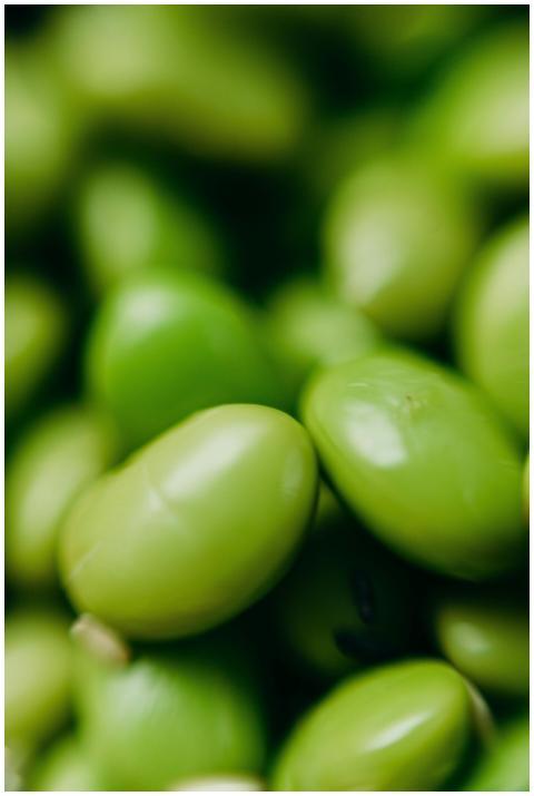 A detailed close-up of raw green edamame beans, sh