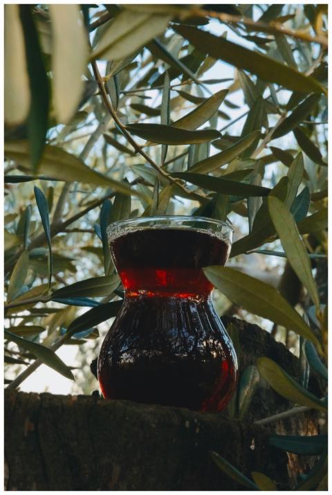 A vibrant glass of dark tea surrounded by lush oli