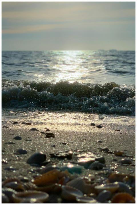 Tranquil Ocean Waves Shell