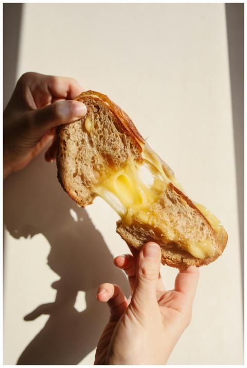 Delicious grilled cheese sandwich with gooey melte