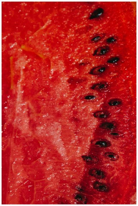 Macro shot of a juicy watermelon slice with seeds