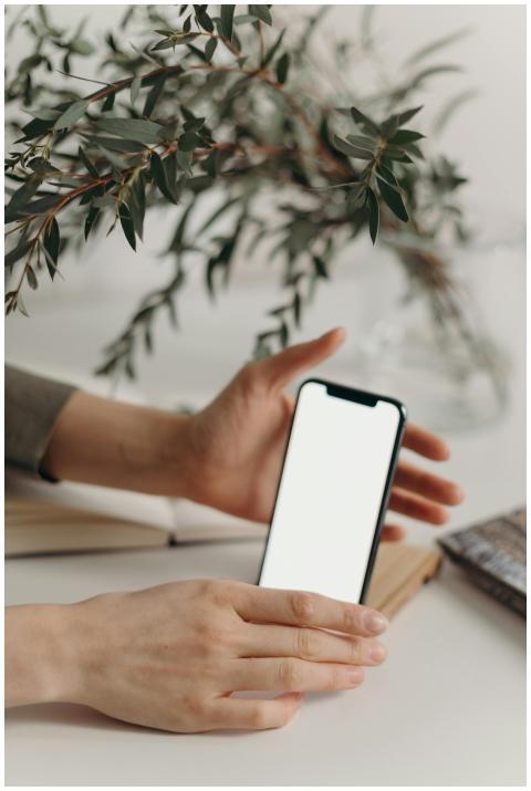 A minimalist smartphone with a blank screen in a n