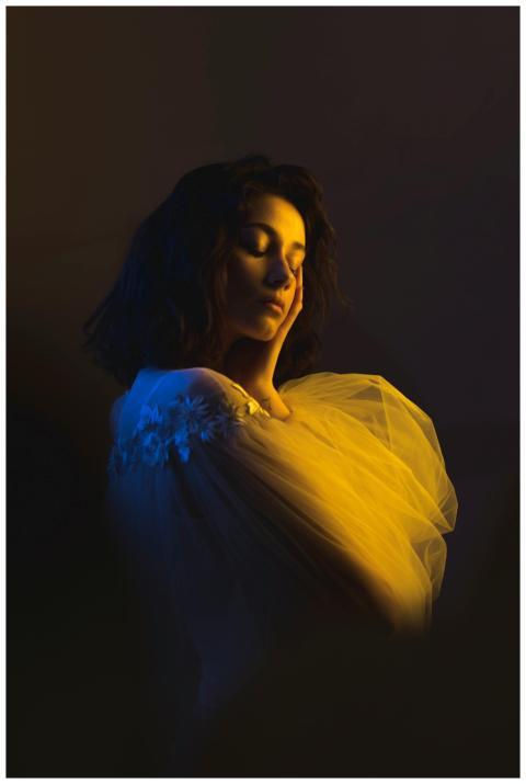 Artistic portrait of a woman in soft, dramatic lig