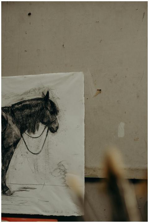 A detailed charcoal sketch of a horse hangs on a t