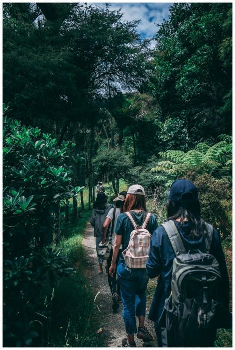 Women hiking along a scenic forest trail, enjoying
