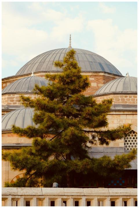 Dome of an Ottoman structure framed by a vibrant p
