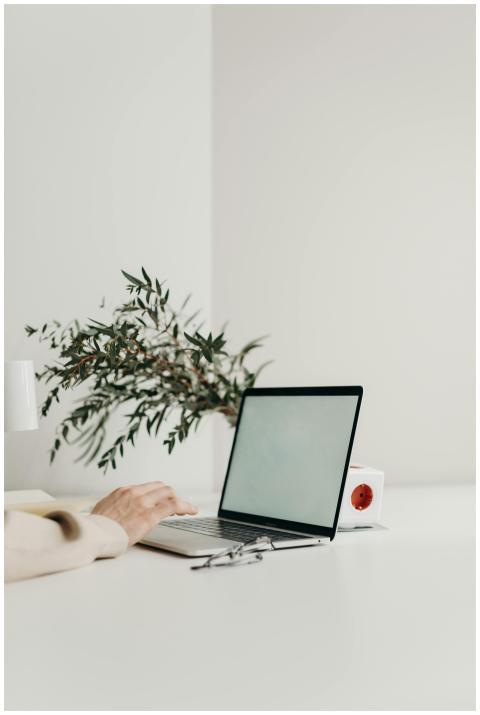 A sleek workspace featuring a laptop, green plant,