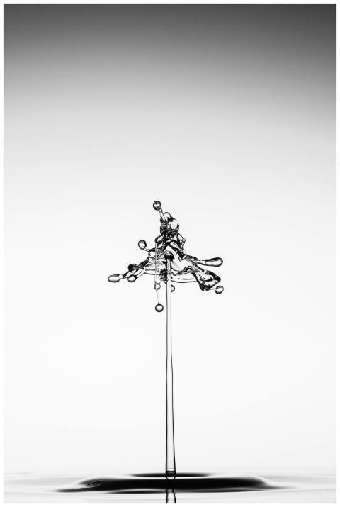 Artistic capture of a water splash creating a uniq