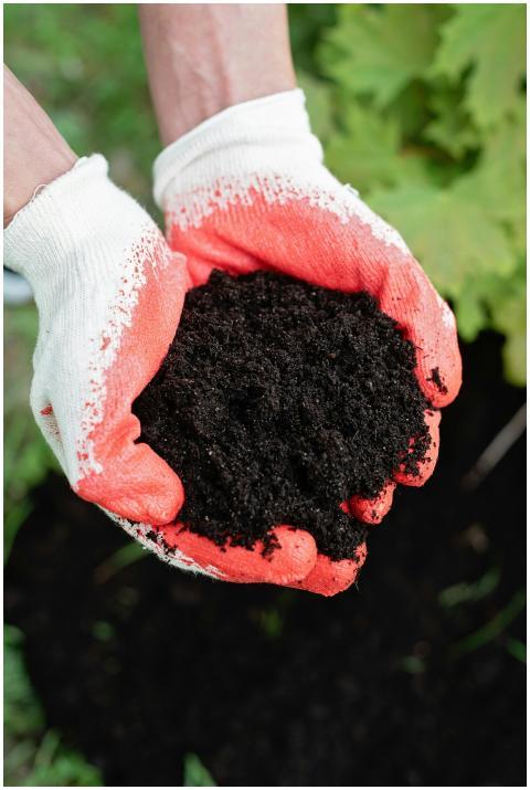 Close-up of hands in gloves holding nutrient-rich