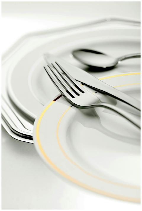 Close-up of elegant plates and silver cutlery, ide