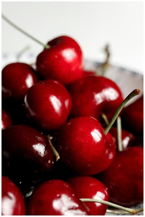 A vibrant close-up of fresh, ripe red cherries wit