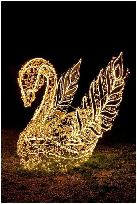 Brightly lit swan decoration glowing in the dark,