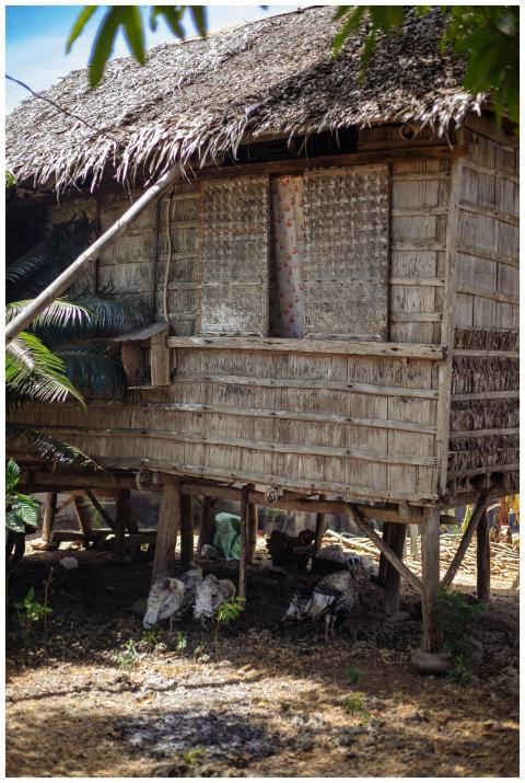 Traditional wooden hut on stilts with a thatched r