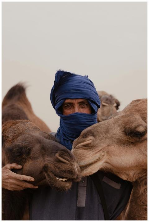 A Moroccan man with camels in the desert, wearing