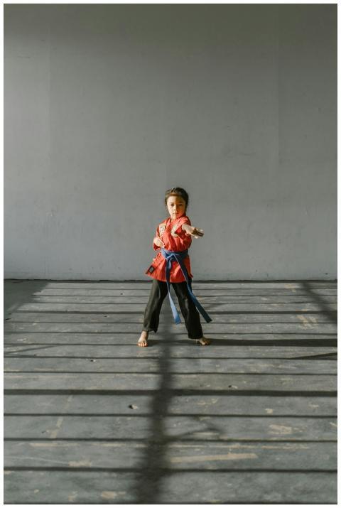 Child practicing martial arts in a sunny indoor se
