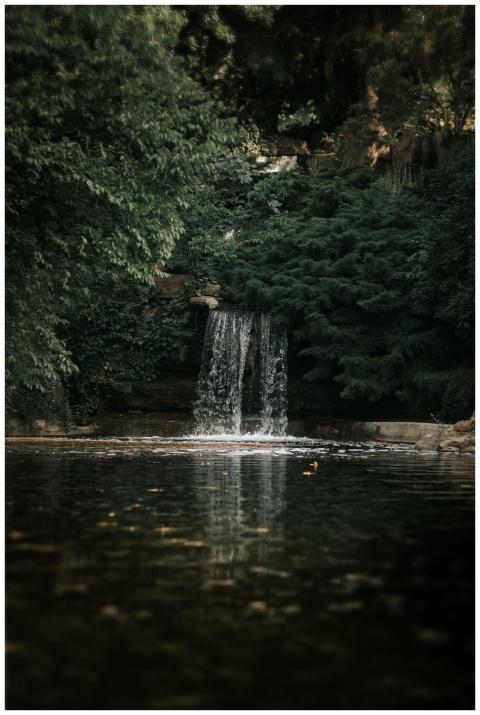 Tranquil waterfall surrounded by dense green folia