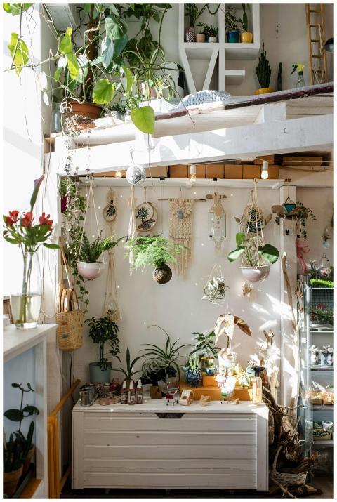 Bright and cozy loft space featuring lush green pl