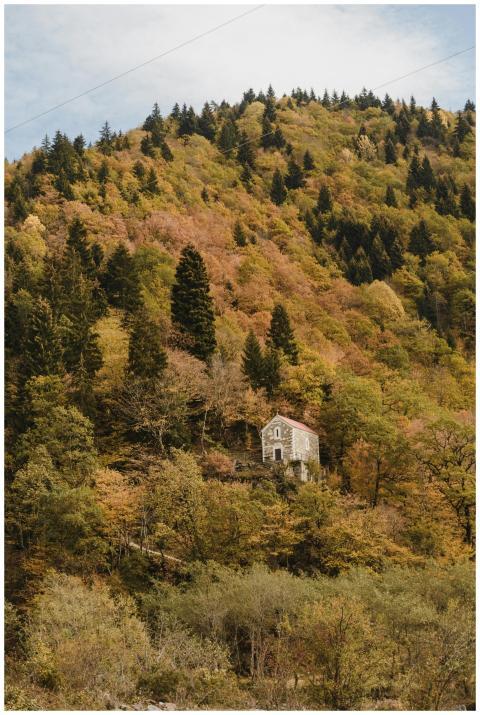 Rustic house nestled on a vibrant autumn hillside