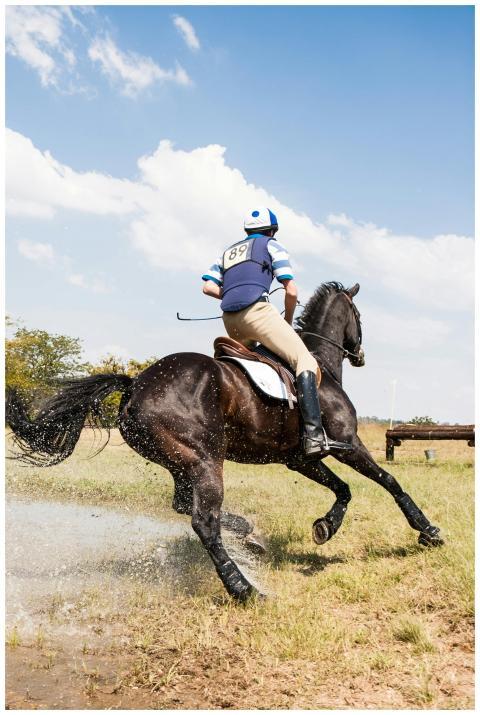 A skilled equestrian rider on a horse jumping over
