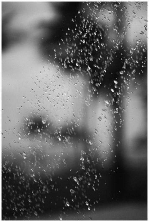 Artistic black-and-white close-up of water droplet