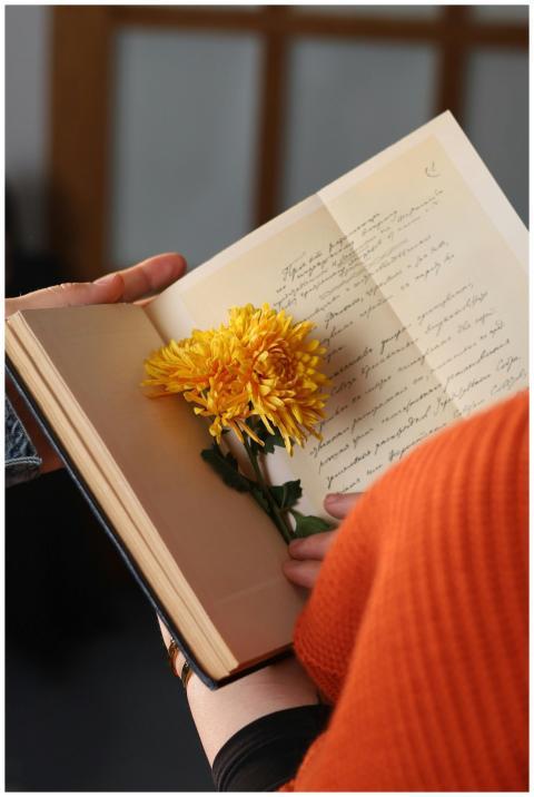 Two hands hold an open book with yellow flowers fo