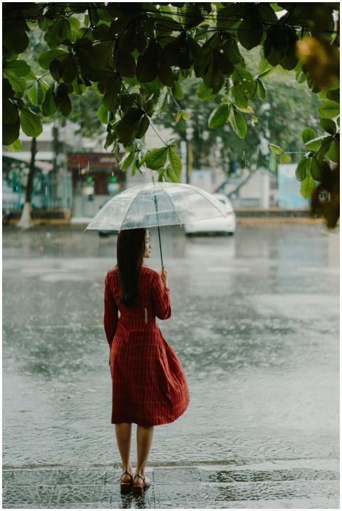 Elegant woman in a red dress holding an umbrella i