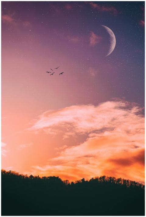 A picturesque sunset with a crescent moon and flyi