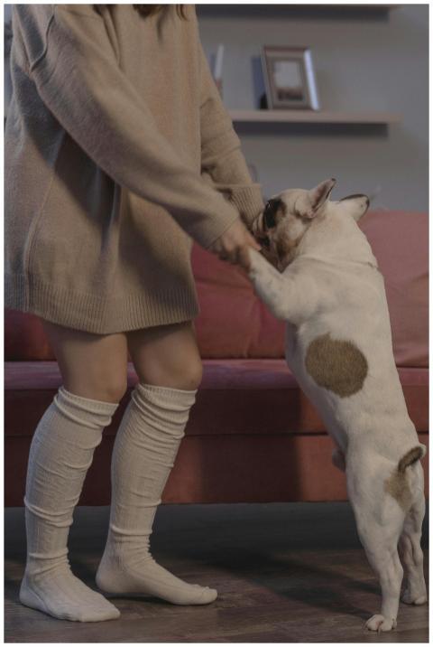 A woman in a brown sweater dances with her French
