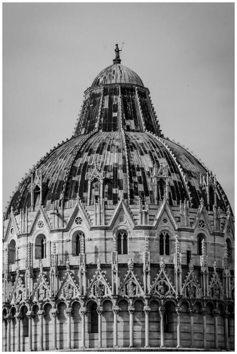 Monochrome image focusing on the intricate details