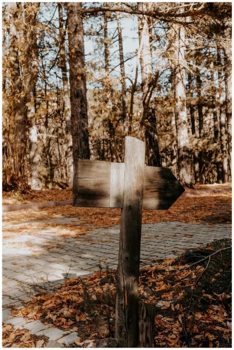 Rustic Wooden Arrow Sign