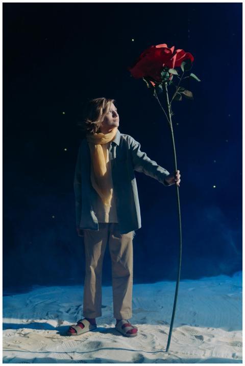 A young boy holding a giant red rose under a starr