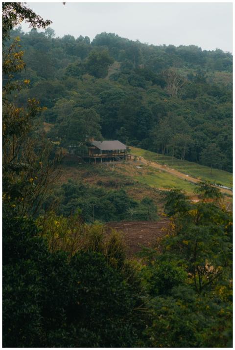 A serene wooden cabin located on a hillside surrou
