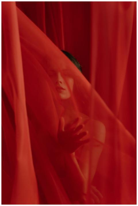 An artistic portrait featuring a woman posing behi