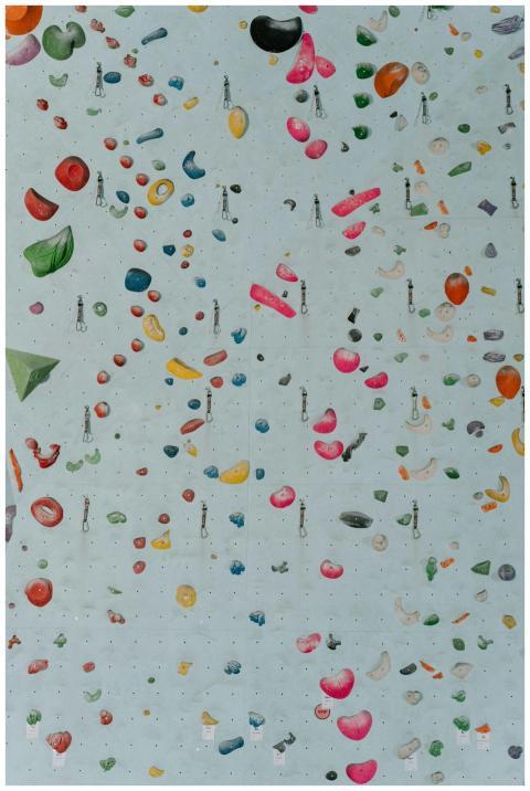 A colorful and detailed indoor climbing wall with