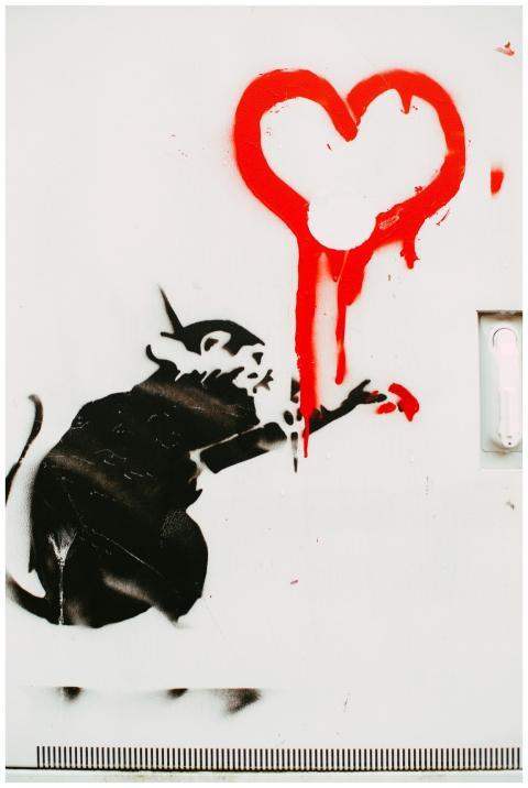 Street art depicting a black rat reaching for a dr