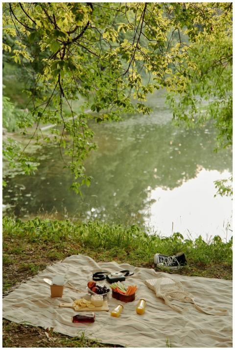 Peaceful picnic setup by a lake with snacks and sn