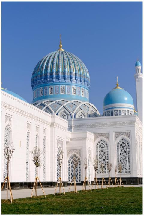 Beautiful mosque with intricate blue domes under a