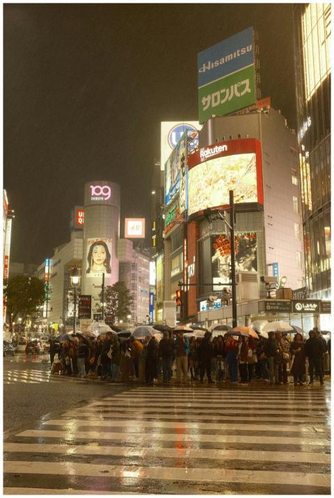 Vibrant Nightlife Shibuya Crossing